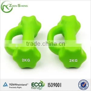 ZHENSHENG Vinyl Rubber Dumbbell thumbnail-4