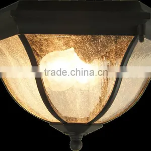 Top Seller Modern And Simple Design Ceiling Lamp thumbnail-2
