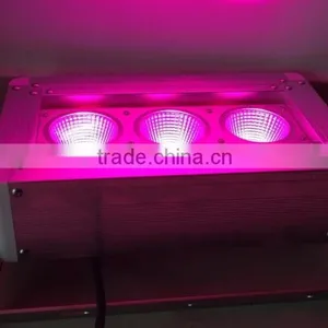 1000W RGB LED Light Smart City LED Flood Light IP67 thumbnail-2