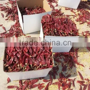 Paprika Products thumbnail-1
