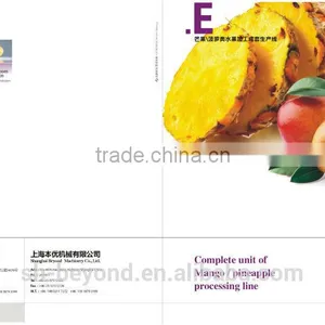 Complete Mango Fruit Processing Line thumbnail-1
