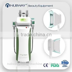 Amazing Result !!! Slimming Vacuum Fat Dissolving Machine Lipo Cryo With 5 Heads thumbnail-1