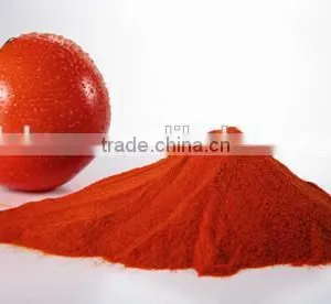 Zhenjiang High Quality Instant Spray Dried Tomato Powder for Meat thumbnail-1