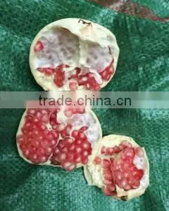 Fresh Pomegranate for Sales thumbnail-1