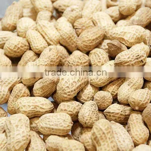 Delicious Peanut Import China thumbnail-1