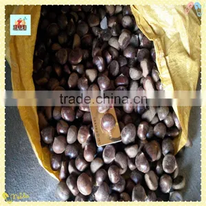 The Best Chinese Chestnuts Species--Fresh Chestnut for Sale thumbnail-4