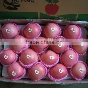 Fresh Fruit Fuji Apple thumbnail-2
