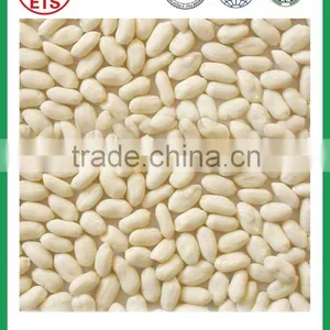 Wholesale High Quality Chinese Best Price Blanched Peanut thumbnail-2