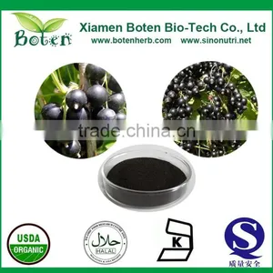 Boten Blackcurrant Extract/ Black Currant Extract thumbnail-1