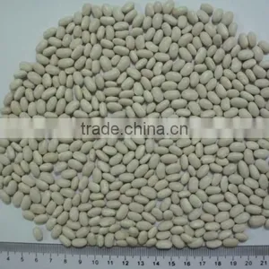 Canned Red Kidney Beans White Kidney Bean thumbnail-4