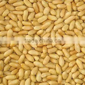 FRIED PEANUTS thumbnail-1