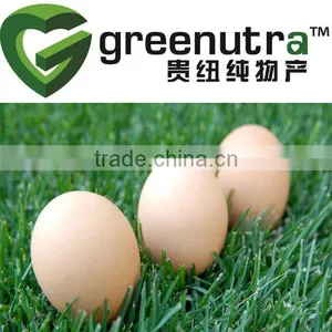 Egg Albumin Powder thumbnail-1