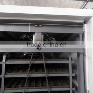 High Quality Automatic Peacock Hatching Eggs for Sale thumbnail-5