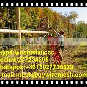 Hinged Joint Wire Field Fence For Farm,Forest ,Wild Dog/Farm Fence thumbnail-2