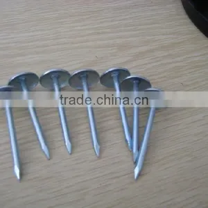 Black Roofing Nail thumbnail-3