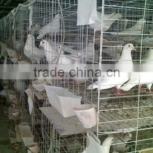 Large Pigeon House thumbnail-1