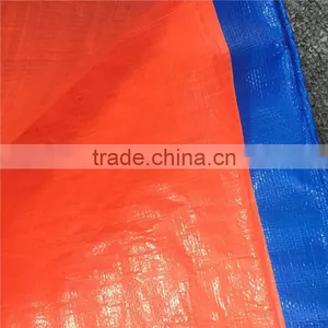 Lightweight Blue pe Tarpaulin Roll thumbnail-1