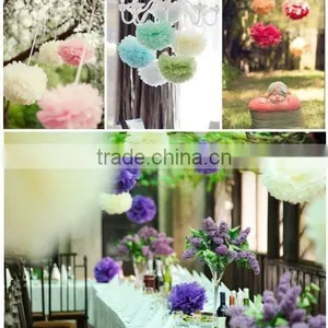 Wholesale Tissue Paper Pom Poms Flower Ball thumbnail-1