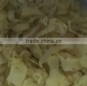 Inductrial Automatic Garlic Slicing Machine 600-1000kg/h thumbnail-5