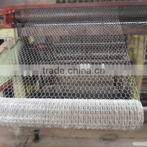 Competitive Price for Hexagonal Wire Mesh thumbnail-5