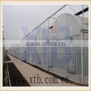 Single Layer Plastic Film Multi-span Greenhouse thumbnail-1