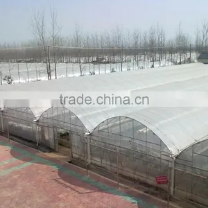 Mini Plastic Greenhouse for Sale, Used Greenhouse Frames for Sale thumbnail-2