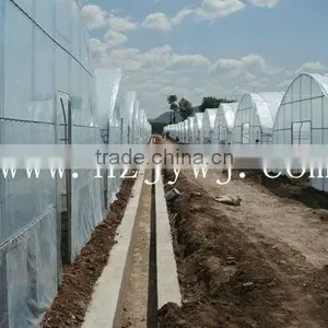 Plastic Greenhouse thumbnail-1