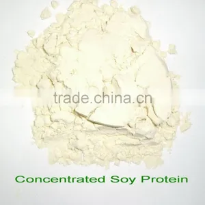 70% Cream White Concentrated Soy Protein thumbnail-1