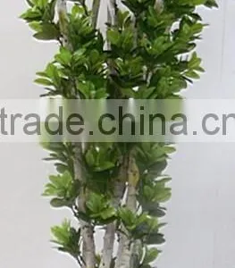 Indoor Home Garden Decorative 250cm Height Make Artificial Green Live Magnolia Bonsai Tree EXLYPZ06 0511 thumbnail-6