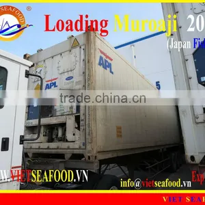 LOADING MUROAJI FOR TUNA BAIT thumbnail-1