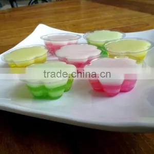 Food Grade BPA Free Clear Plastic Jelly Mold Cups Jelly Mould Party thumbnail-3