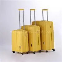 Pp Women Luggage thumbnail-1