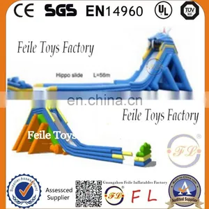 FL 2015 New Design Giant Inflatable Water Slide for Kids and Parents thumbnail-1