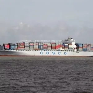 International Logistics Shipping Guangzhou Huangpu to Kuwait Special Line FCL Shipping Double Clearance to the Door thumbnail-2