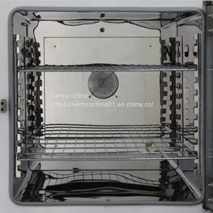 Electrothermal Constant Temperature Incubator Small Laboratory Incubator of Bacteria and Microbial Plants for Germination thumbnail-2