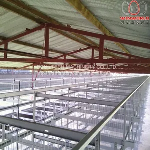 Malawi Poultry Farming H Type Automatic Broiler Chicken Cage & Broiler Cage With Automatic Feeding Machine thumbnail-2