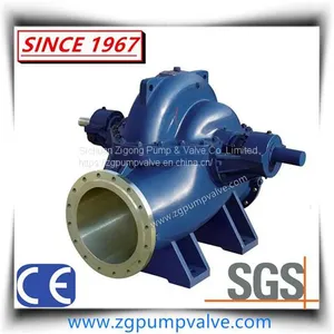 Large Flow Pump Customization for Users thumbnail-1