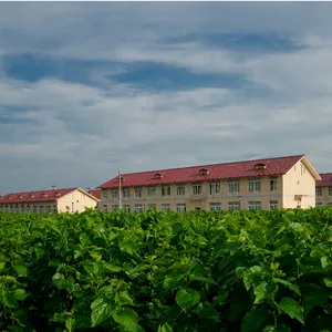Guangxi Nanning Tianlong Biological Technology Co., LTD company overview - view 1 thumbnail
