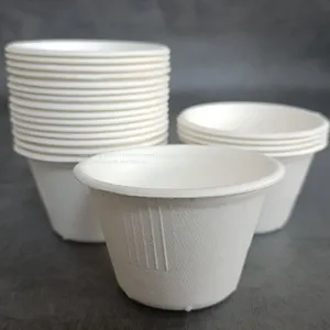 Takeout Eco-Friendly Disposable Compostable Biodegradable Envase Bagasse 4oz Sauce Mini Sugarcane Bagasse Pulp Cup thumbnail-2