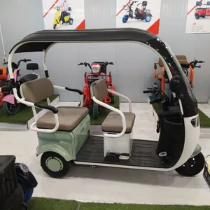 800W 1000W Three Wheels Leisure Electric Tricycle Rickshaw EV Mobility Scooter Motor With Cabin Tuk Tuk thumbnail-4