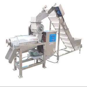 Shanghai GENYOND Berry Juice Strawberry Jam Processing Line thumbnail-6