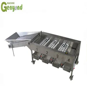 Fresh Fruit Apple Orange Size Sorting Tomato Sorting Machine thumbnail-5