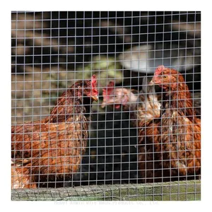 Service for Cutting and Processing of Square-hole Woven Steel Fence for Vegetable Garden, Using 19-gauge Galvanized Welded Wire Mesh. thumbnail-5
