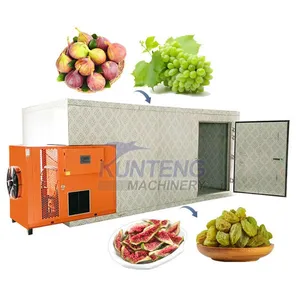 Professional Dehydrator Machine 5 Tpd Fig Apricot Tray Drying Machine Grape Raisin Cherry Drying Room Fruit Dryer Turkey EPC thumbnail-1