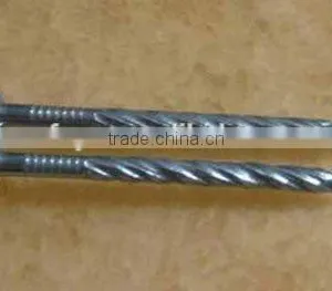 Galvanized Twisted Shank Nails Factory thumbnail-3