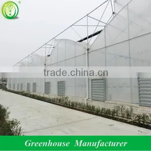 Pep Film Sawtooth Greenhouse thumbnail-2