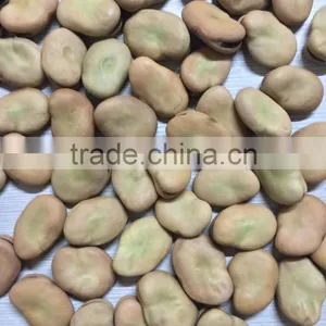 Peeled Green Broad Beans Frozen thumbnail-5