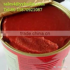 28-30% Brix Pate de Tomate Factory ,cheapest Price thumbnail-1