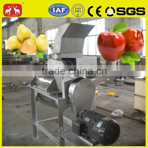 Wide Output Range Full Stainless Steel Pear Pulping Machine thumbnail-5