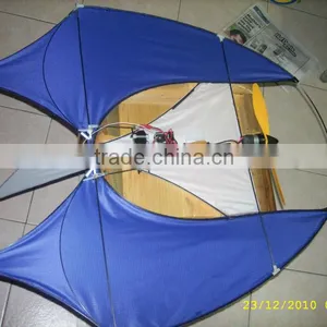 Wonderful rc Kite thumbnail-1
